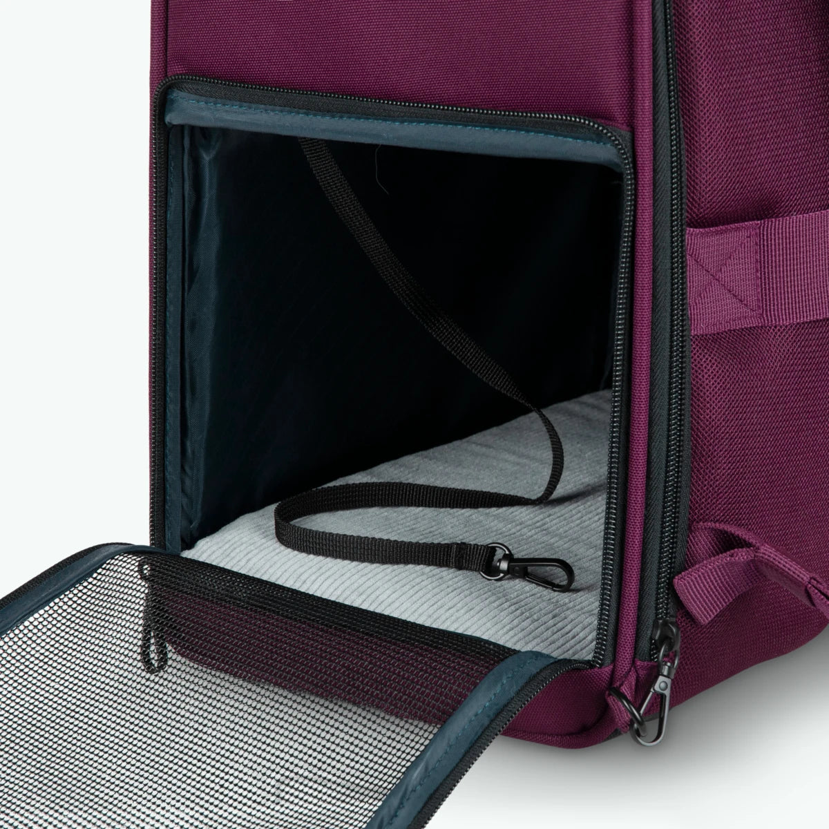 Sac à dos Adventurer pour Animaux Nice - Cabaia - 
